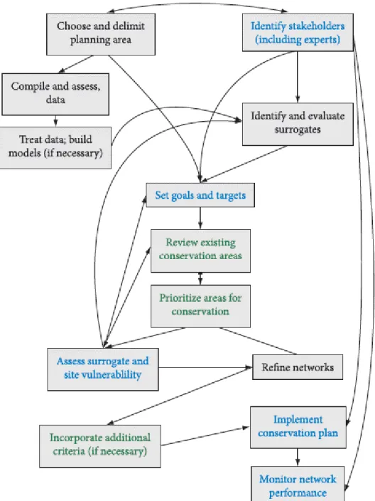 Figure  2.  Stages  of  Systematic  Conservation  Planning.  Arrows  indicate  which  components  directly  influence  which  others