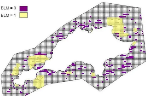 Figure 3. Effect of BLM on the spatial configuration of the reserve network. A BLM of 0 results in a highly fragmented  solution (in purple), albeit with smaller total area