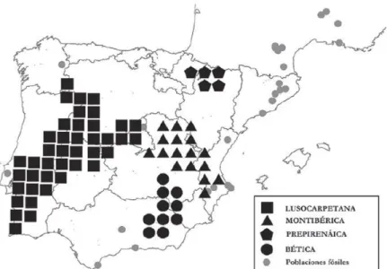 Figura 2: Mapa de distribuição indicando os núcleos da espécie Microtus cabrerae identificados na  Península Ibérica (Garrido-García et al., 2013).