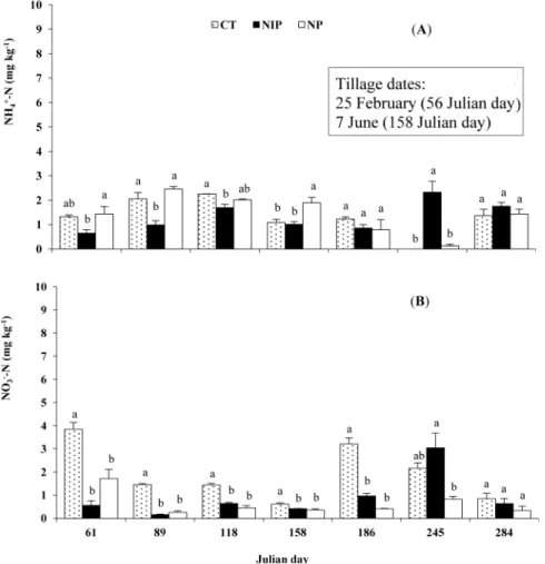 Figure 3 - Soil NH 4 + -N (A) and NO 3 - -N (B) concentrations in the 0-15 cm soil layer, during 1999
