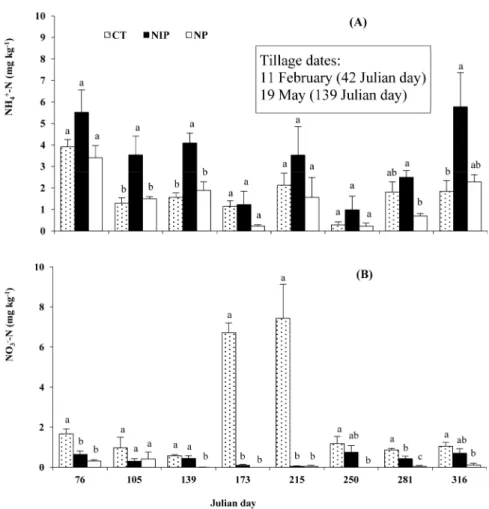 Figure 5 - Soil NH 4 + -N (A) and NO 3 - -N (B) concentrations at the 0-15 cm soil layer, during 2004