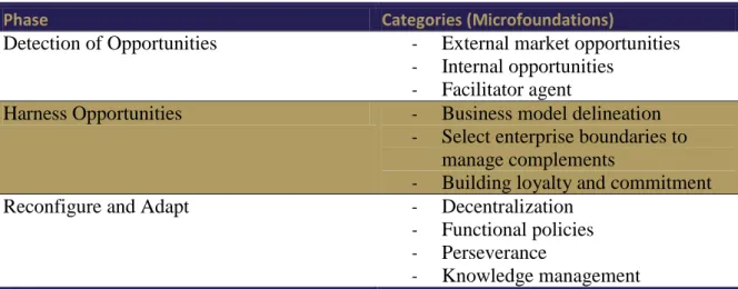 Table 6 – Microfoundation’s categories 