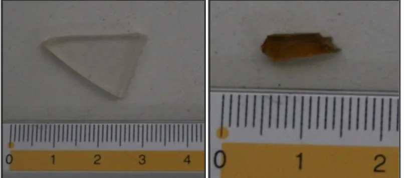 Figura 5 – Exemplo de materiais inorgânicos encontrados durante a análise de egagrópilas (Um pedaço de  plástico e um de vidro que podem lesionar gravemente o trato digestivo de uma ave)