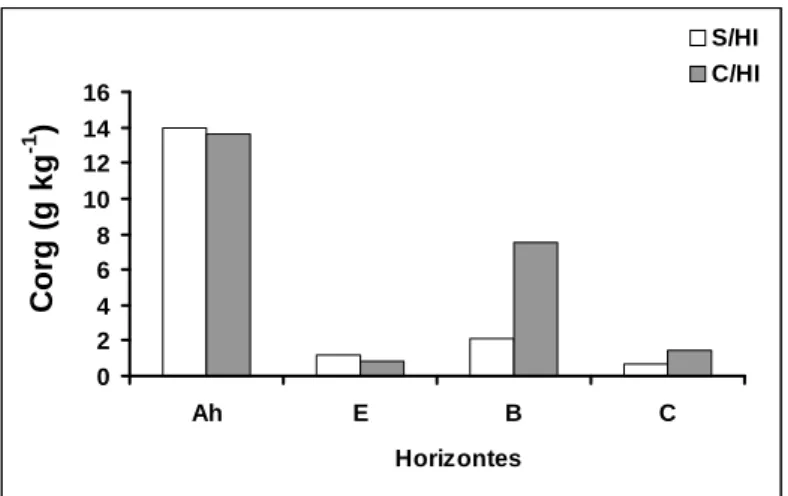 Figura 6- Teores médios de carbono orgânico (Corg), nas diferentes camadas dos pédones  sem horizonte iluvial (S/HI) e com horizonte iluvial (C/HI) analisados na área de estudo