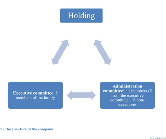 Figure 1 - The structure of the company 