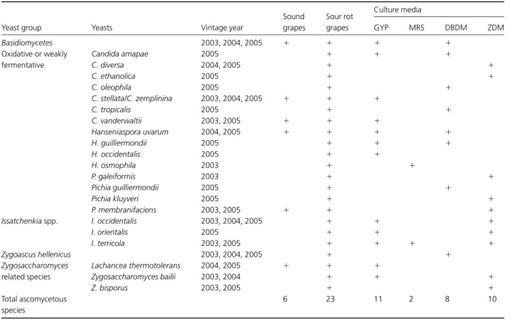 Table 4. Non-Saccharomyces species populations on healthy and sour rot grapes and influence of culture media on species recovery (3-year study)