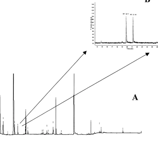 Fig. 1. Enantio-MDGC–MS (A) of a wine using a 30 m30.25 mm I.D. fused-silica capillary coated with SE-52 as pre-column and a 30