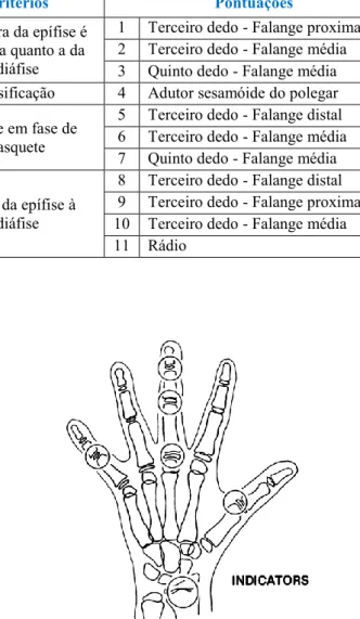 Tabela  2: Etapas e indicadores de maturação da mão e do punho descritos por Fishman   (Modificado de Palanisamy et al