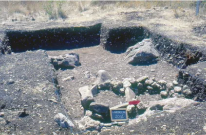 Fig. 6 – Carrascal, 2002. Vista geral da área escavada, com a localização na mesma  da estrutura de combustão identificada