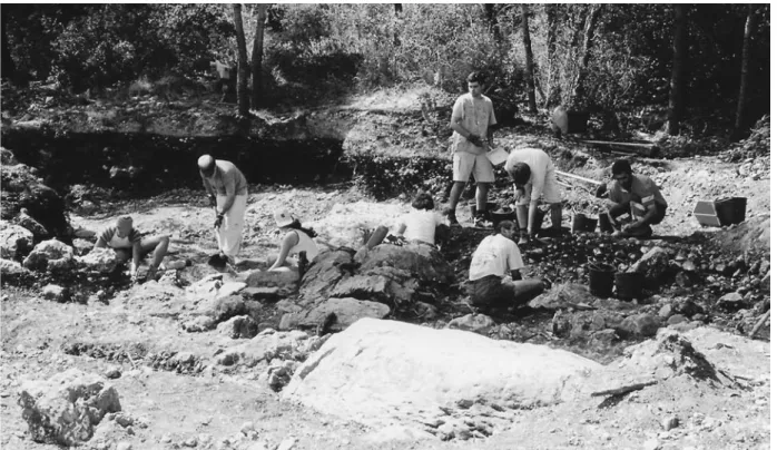 Fig. 21 – Carrascal, 2005. Vista dos trabalhos arqueológicos em curso. Foto de J. L. Cardoso.