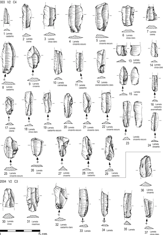 Fig. 49 – Carrascal, 2003. Produtos lamelares (1 a 29). Carrascal, 2004. Produtos lamelares (30 a 37