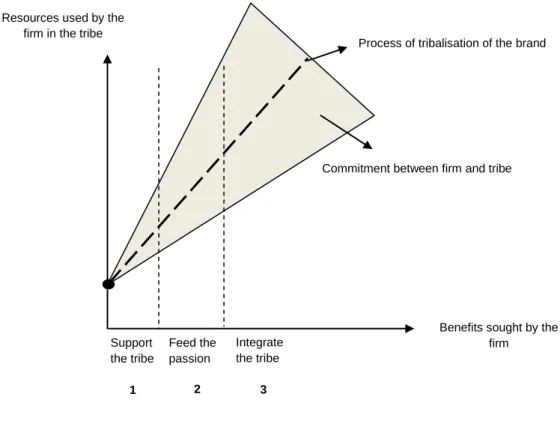 Figure 5.  The different levels of firm-tribe commitment and the tribalisation of the brand 