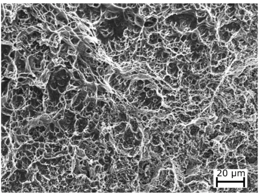 Figure 9 – SEM image of the fracture surface of the welded specimen after tensile testing