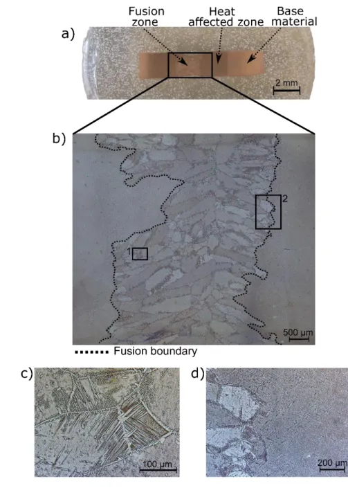 Figure 1 – a) Macrograph of the welded joint; b) detail of the fusion zone highlighting the two regions of 171 