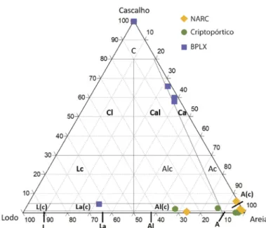 FIG. 4  Classificação textural   das amostras analisadas   (Folk, 1954; Folk e Ward, 1957)