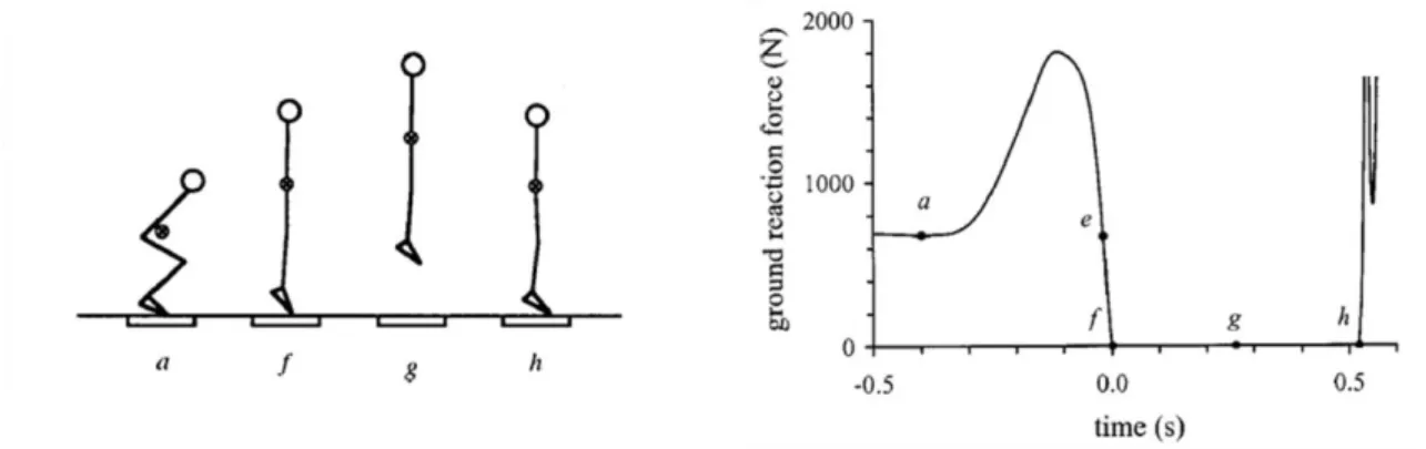 Figura  1.  À  esquerda  a  sequência  de  ações  do  Squat  Jump  (SJ).  O  centro  de  massa  (CM)  do  sujeito  move-se  apenas  na  vertical  (indicado  pelo  circulo  a  preto)