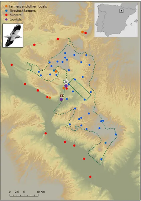 Fig. 1. Study area of the Bardenas Reales Natural Park and Reserve of Biosphere (northern Spain) and a breeding adult Egyptian vulture (Neophron percnopterus) with the locations of the surveys to diﬀerent stakeholders groups