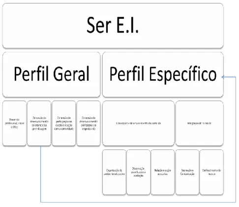 Fig.  B- Esquema representativo da organização do Perfil Geral e Específico de Desempenho 