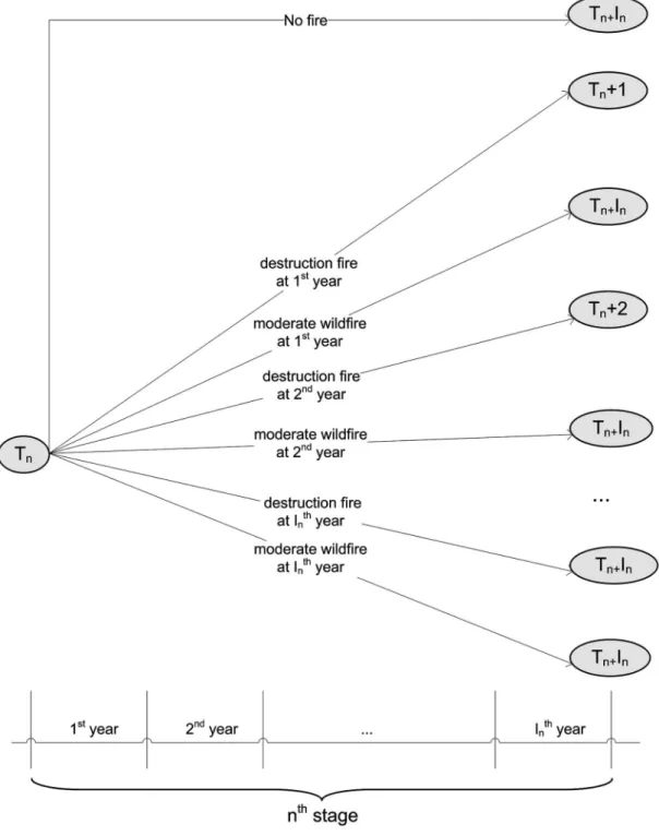 Figure 3. Wildfire occurrence and damage scenarios for the nth stage.