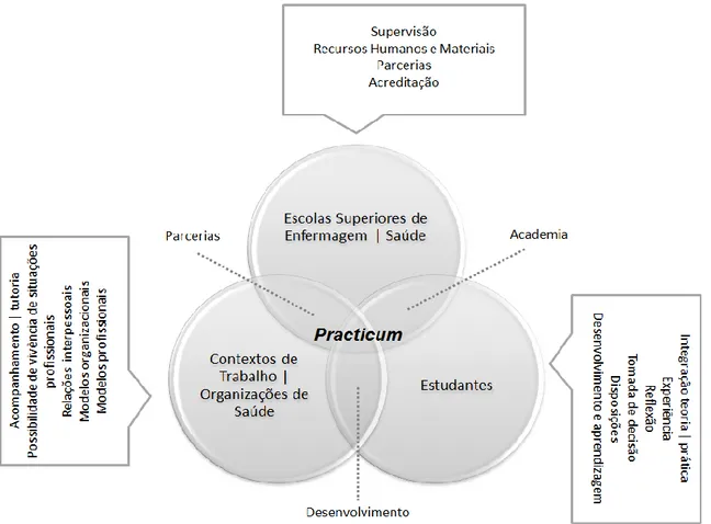 Figura 5 - Agentes de practicum (Adaptado de Zabalza, 2011).