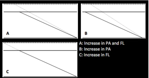 Figure 3. Different changes in FL and PA leading to similar increase in MT. 