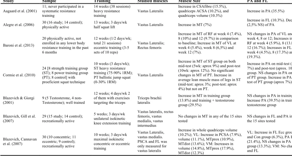 Table 2. Muscle size and muscle architecture adaptations after training 