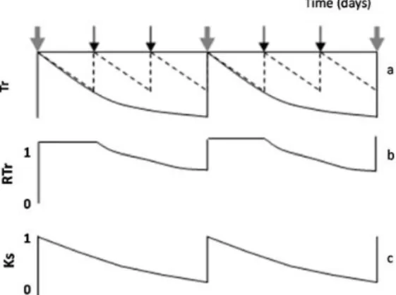 Figure 4. Diagram of the evolution along several days of (a) Tr in the plot considered well irrigated  by the farmer (dashed line) and a stressed plot (black line); (b) RTr and (c) Ks in a stressed plot, for  two consecutive stress cycles, during which irr