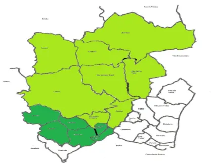 Figura 1: Área geográfica de abrangência do centro assinalada a verde-claro e escuro 