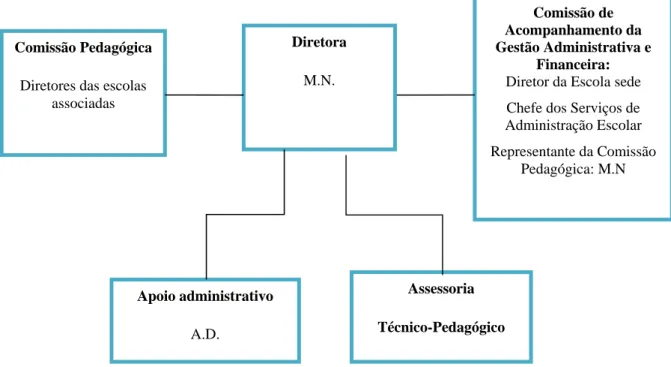 Figura 2:  Organigrama estrutural e funcional do Projeto Novos Laços 