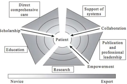 Figura 1. The Strong Model of Advanced Nursing Practice (Ackerman et al., 1996). 