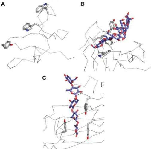 Figure 1.13 The three types of binding-site ‘platforms’ formed by aromatic amino acid residues