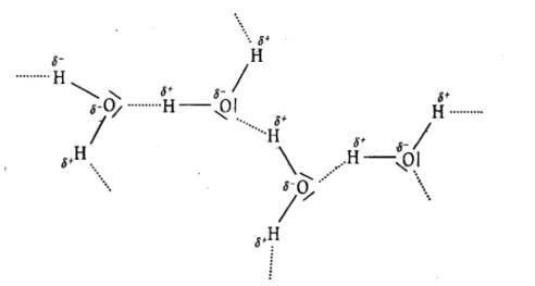 Figura 3.1 - Formação de ligações por ponte de hidrogénio na água. 