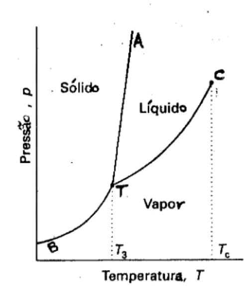 Figura 3.5 - Diagrama de fases de uma substância pura 