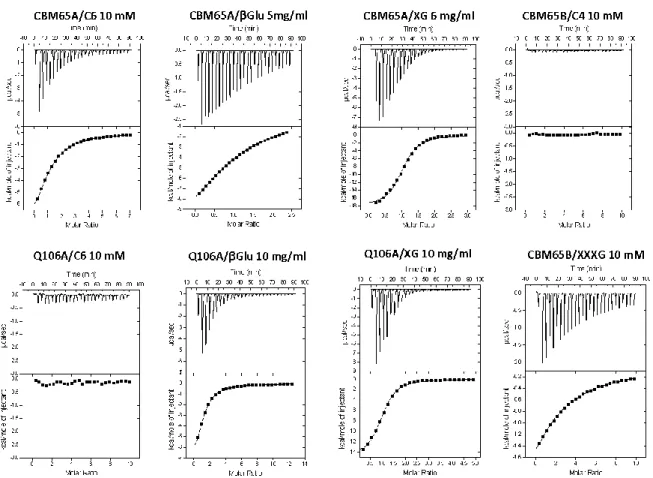 Figure 2.2.3| Representative ITC data of CBM65s binding to soluble ligands. 