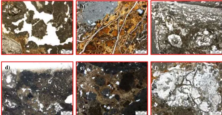 Fig. 6. Petrographic microscopy images of RE samples: (a) AM10 of an area with high percentage of lime; 