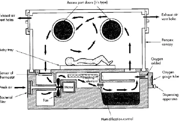 Figura 25. Elementos que constituem uma incubadora. Retirado de [19] 