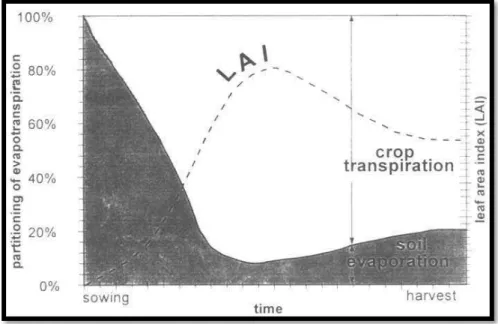 Figure 7 - The partitioning of evapotranspiration into evaporation and transpiration over the growing  period for an annual field crop 