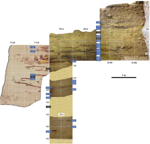 Fig. 4. La Boja. The archeo-stratigraphic sequence. Trench cross-sections as recorded at the end of the 2013 field season (for an extended discussion, see the SI appendix)