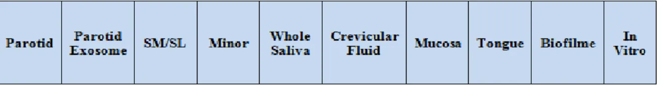 Figura  10  –  Cabeçalho  da  tabela  em  Microsoft  Excel  2010  relativa  à  origem  das  amostras salivares utilizadas para análise proteica