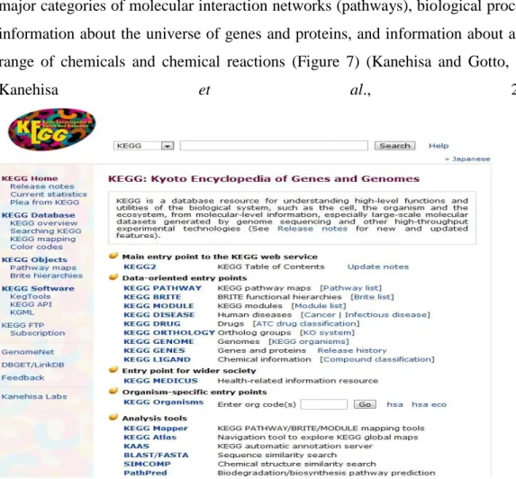 Figure  7: General KEGG Interface  (http://www.genome.jp/kegg/). 