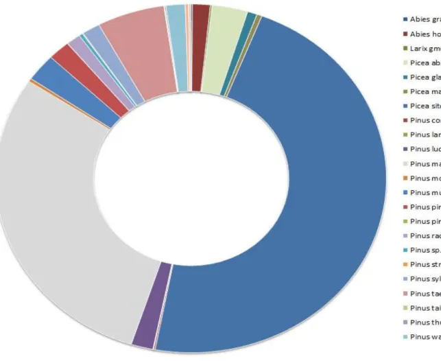 Figure  8: The most prominent genera of conifer plants identified in the samples under study