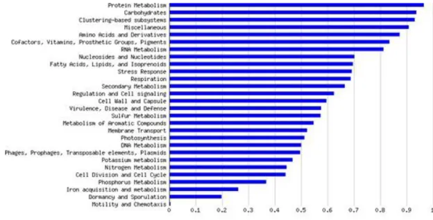 Figure  9:  Functional  classification  of  the  bulked  sequences  obtained  from  the  pyrosequencing  of  the  four  samples  under study