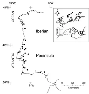 Fig. 1. Location of the sampled wetland forests along the Atlantic coastal belt of the Iberian Peninsula in Southern Europe.