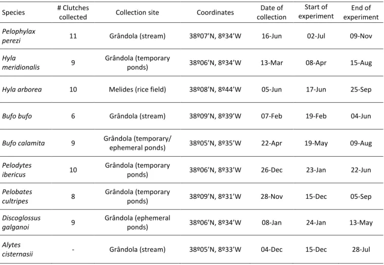 Table 1. Number of clutches collected, collection site (type of water body and coordinates), date of their  collection and dates of start and end of the experiment for each of the nine studied species 