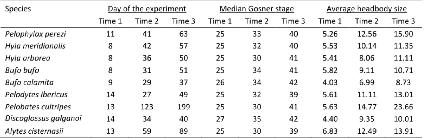 Table 2. Days of the experiment, Gosner developmental stage (according to Gosner 1960) and headbody  size when behaviour was sampled in the three time periods (early, middle and late in development) for  each species 