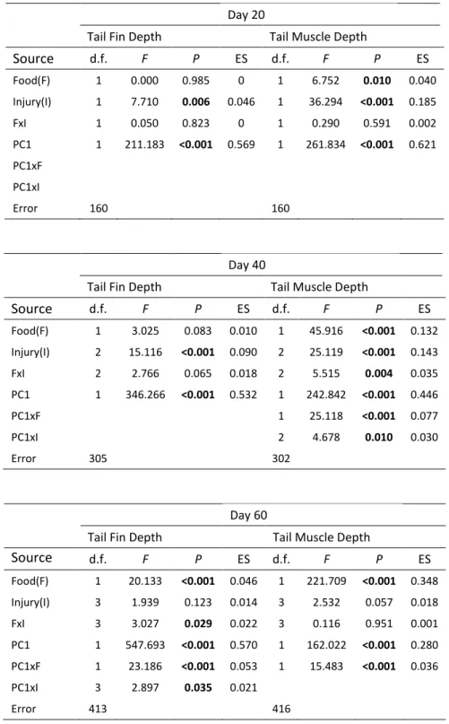 Table 3. Analysis of covariance (ANCOVA) on the effects of food availability and frequency of injury on  tadpoles tail morphology (tail fin and tail muscle depth) 20, 40 and 60 days after the beginning of the  experiment