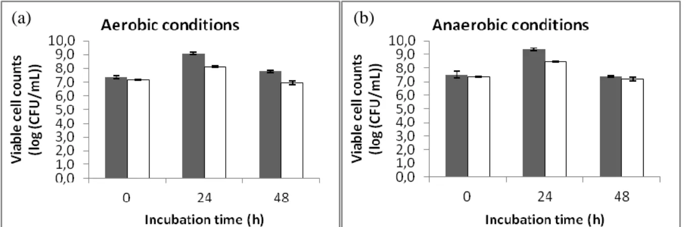 Figure  3.1  Bacterial  growth  of  L.  plantarum  299v  at  0,  24  and  48  h  of  incubation  in  the  absence  ()  and  presence  ()  of  LA  (0.5  mg/mL)  under  aerobic  (a)  and  anaerobic  (b)  conditions