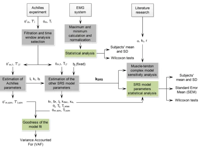 Figure 2.1: Data ow of the experiment. During the SRS experiment, data were collected with the Achilles manipulator and the electromyographic (EMG) system