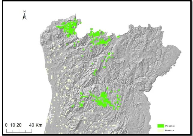 Fig. 8- Wolf presence and absence cells used in the 10x10km model. 