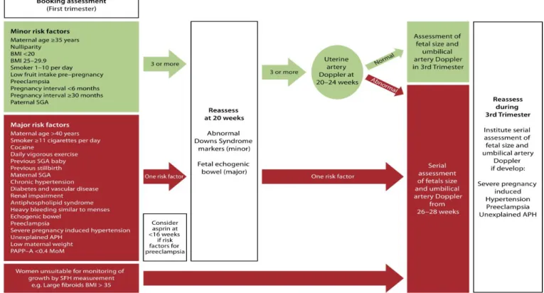 Figure 1.1 - Risk assessment for SGA as set out by the RCOG 9 . 